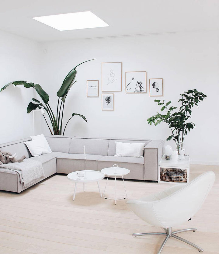 Click Rail - Artiteq Picture Hanging Systems